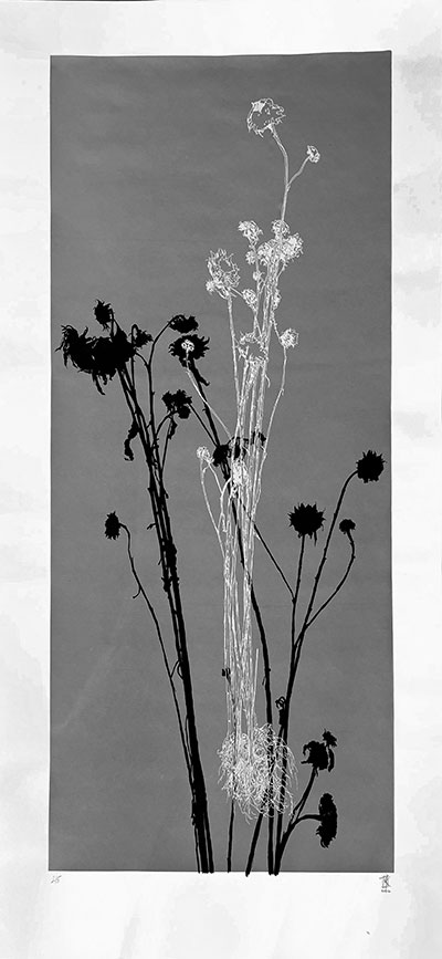 Sonnenblumen, Siebdruck 50x70cm 2022