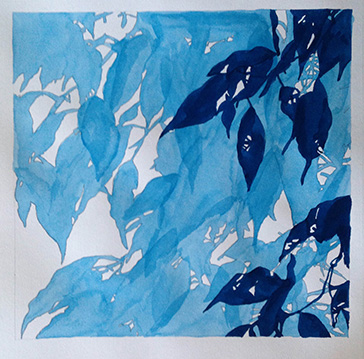 Blätter, Blautöne, Aquarell auf Papier 50x50cm 2018