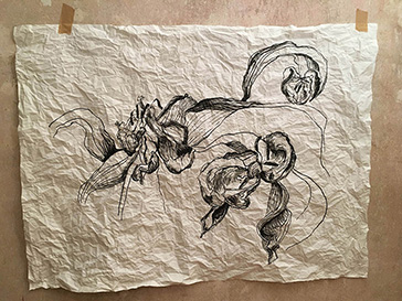 Verwelkende Tulpe, Tusche auf gecrushtemJapanpapier 120x100cm 2019