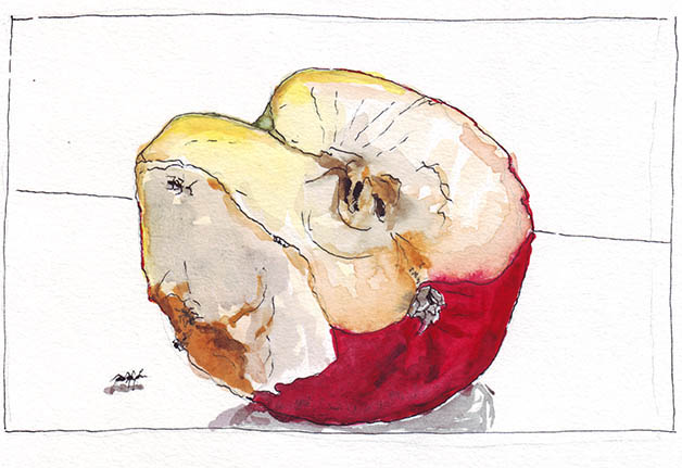 Angebissener Apfel mit Ameisen, Tusche und Wasserfarbe auf Papier 15x20cm 2017