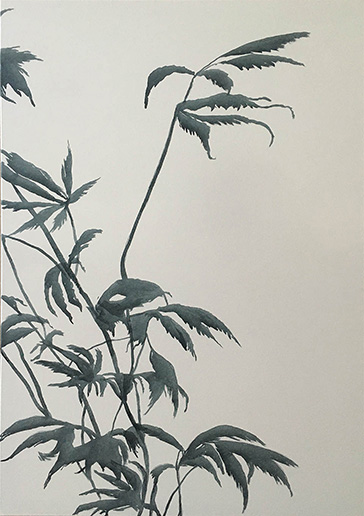 Japanischer Ahorn, Tusche auf Leinwand 90x130cm 2020